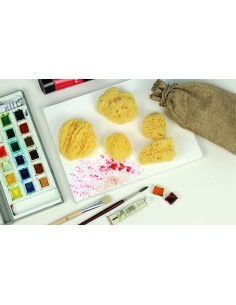 SPUGNA NATURALE CM.5